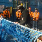 monter siatek rusztowań